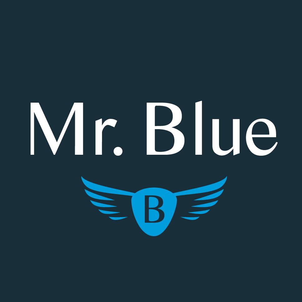 Mr. Blue logo